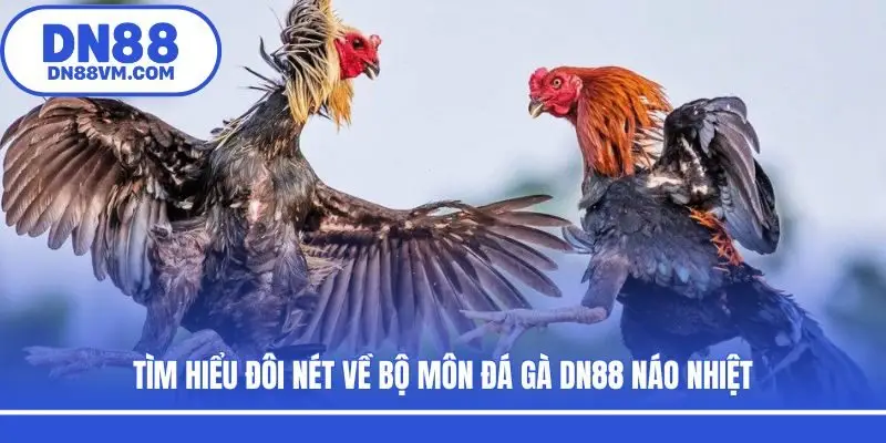 Tìm hiểu đôi nét về bộ môn đá gà DN88 náo nhiệt